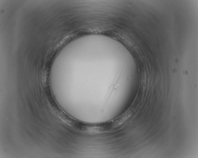 X0000082750268200702240046