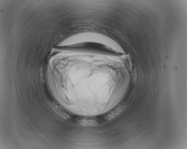 X0000082750270200702240046