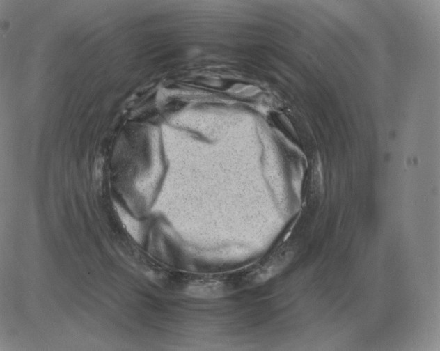 X0000082750271200702240046