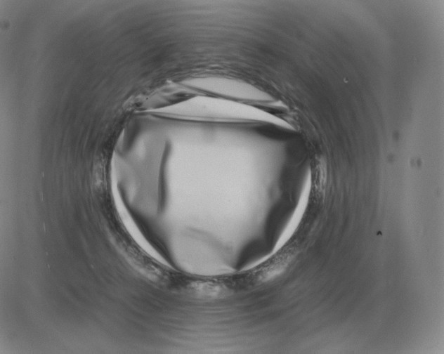 X0000082750272200702240046