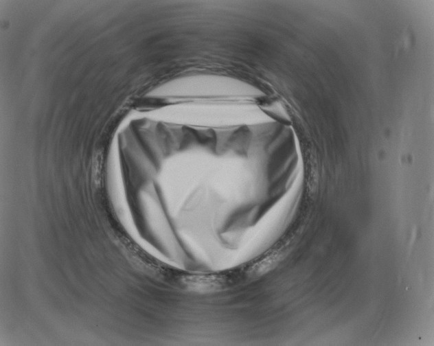 X0000082750273200702240046