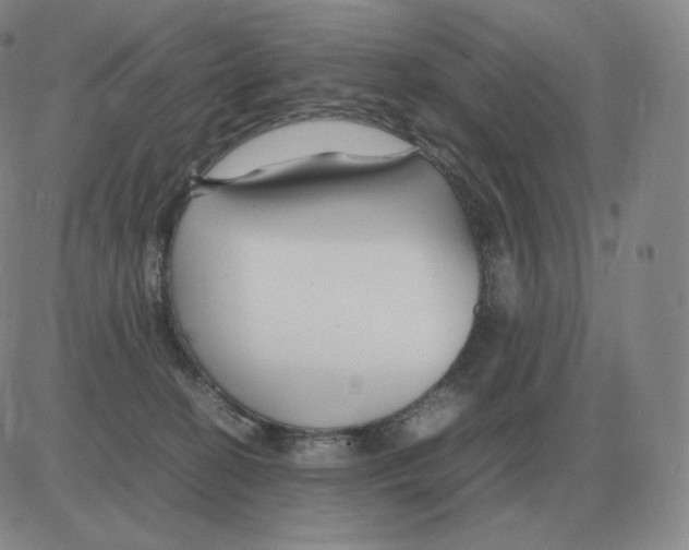 X0000082750274200702240046