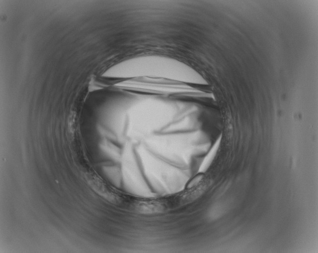 X0000082750275200702240046