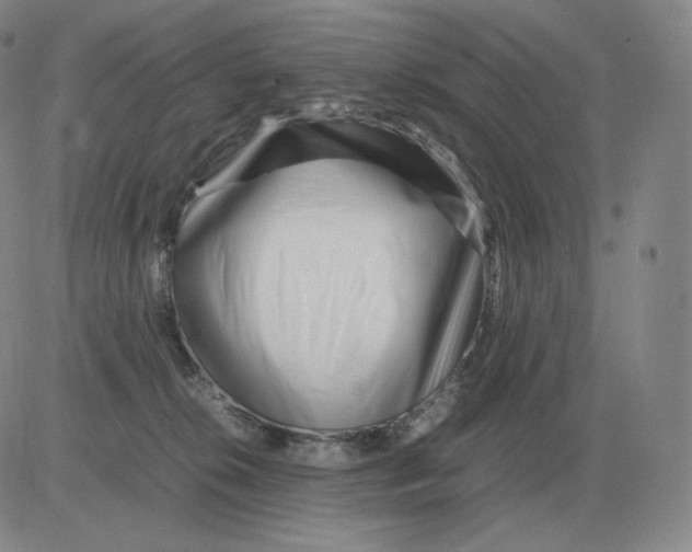 X0000082750276200702240046