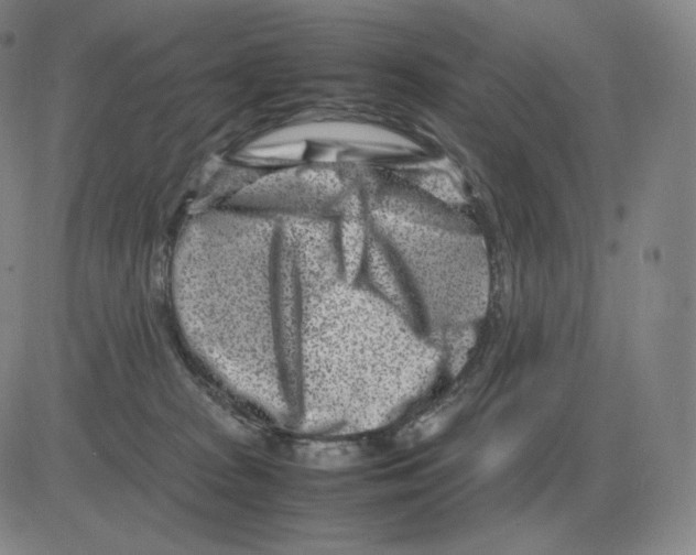 X0000082750277200702240046