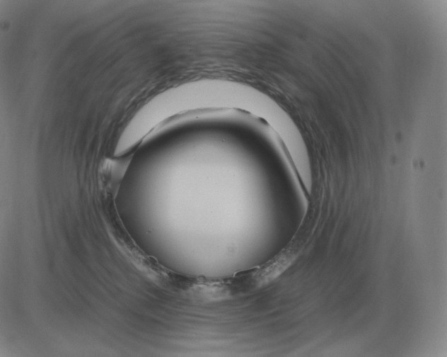 X0000082750280200702240046