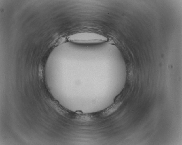 X0000082750282200702240046