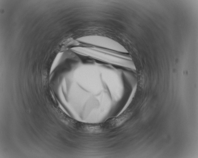 X0000082750283200702240046