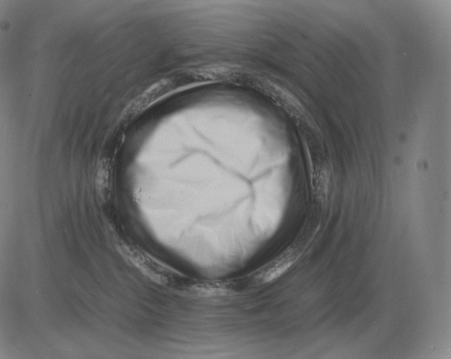 X0000082750284200702240046