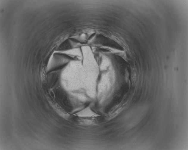 X0000082750285200702240046