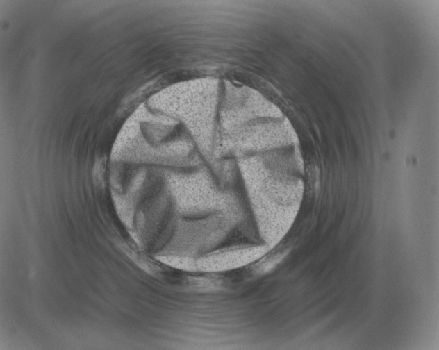 X0000082750286200702240046