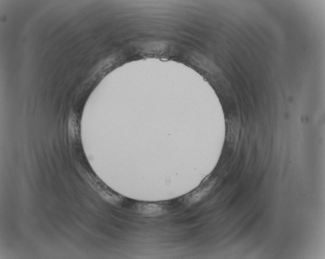 X0000082750287200702240046