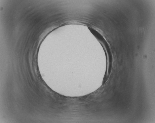 X0000082750289200702240046