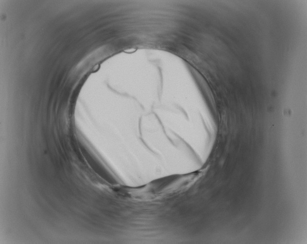 X0000082750290200702240045