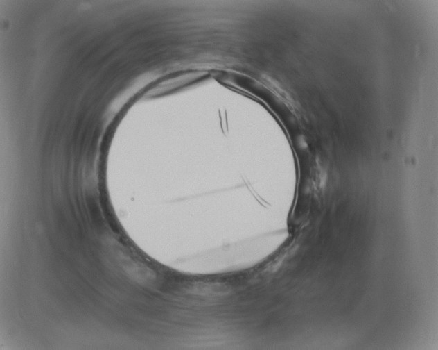 X0000082750292200702240045