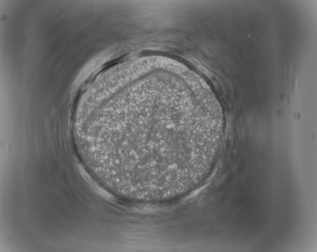 X0000082750293200702240045