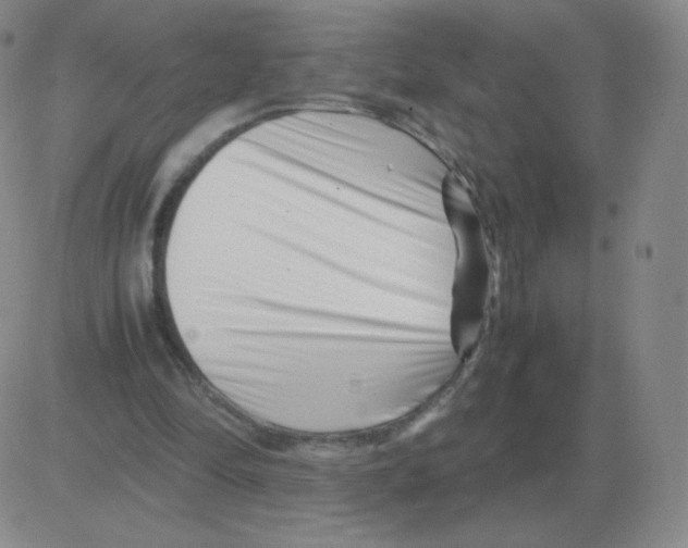 X0000082750294200702240045