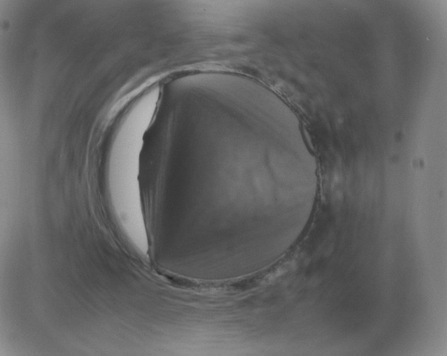 X0000082750295200702240045