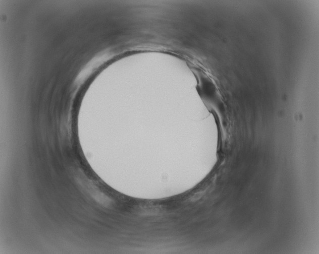 X0000082750296200702240045