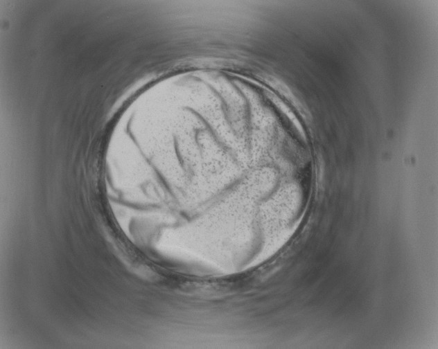 X0000082750297200702240045