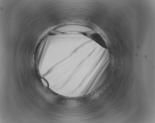 X0000082750298200702240045