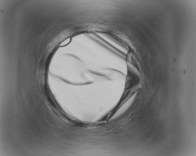 X0000082750299200702240045