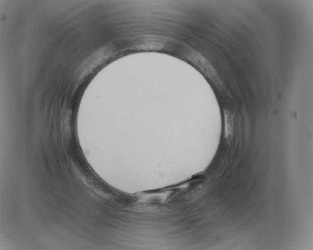 X0000082750300200702240045