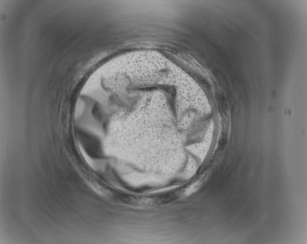 X0000082750301200702240045