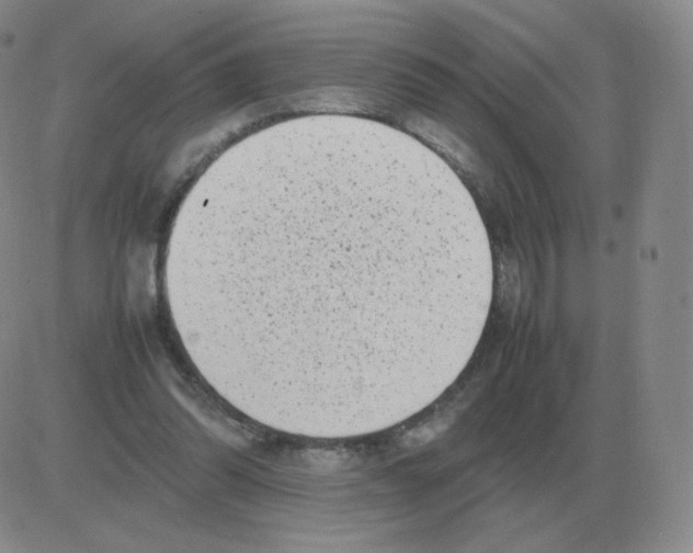 X0000082750302200702240045