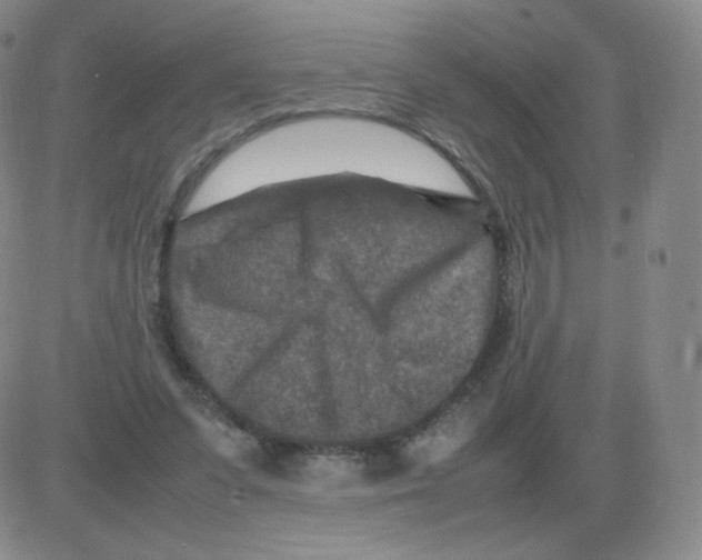 X0000082750303200702240045