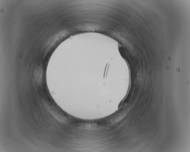 X0000082750304200702240045