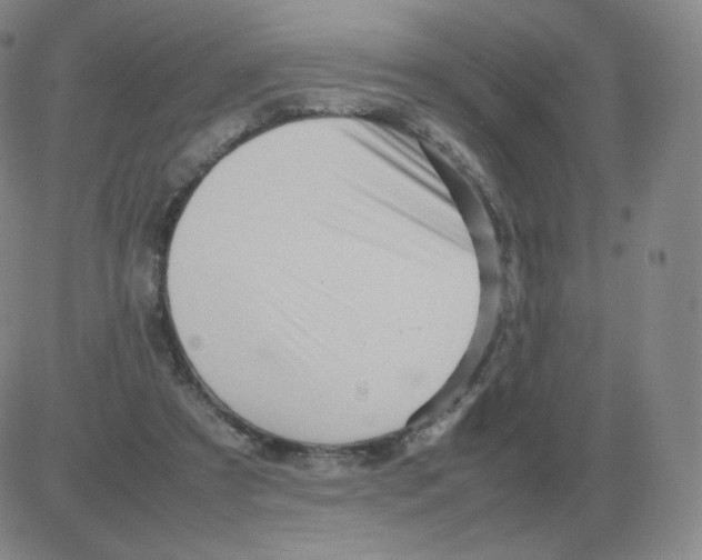 X0000082750305200702240045