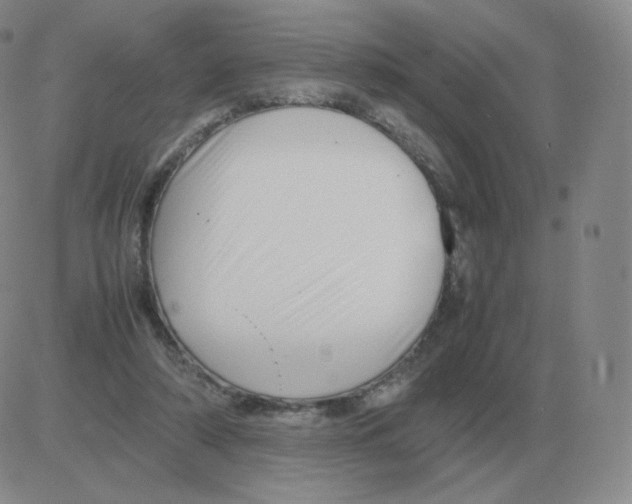 X0000082750306200702240045