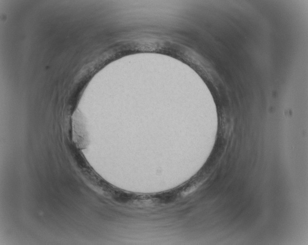 X0000082750307200702240045