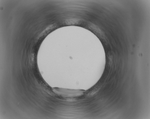 X0000082750308200702240045