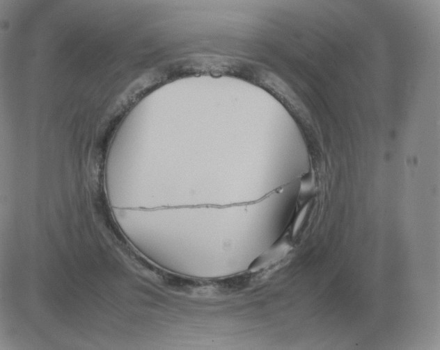 X0000082750309200702240045