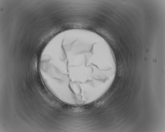 X0000082750310200702240045