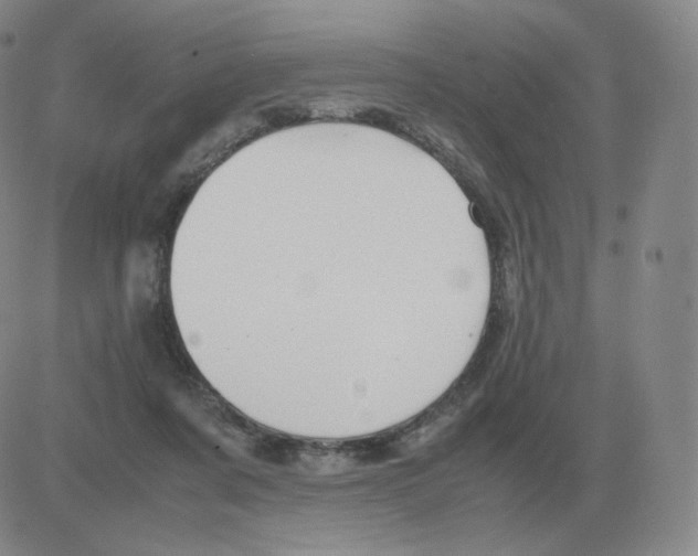 X0000082750311200702240045