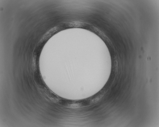 X0000082750312200702240045