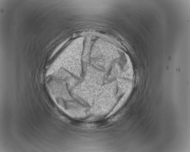 X0000082750313200702240045