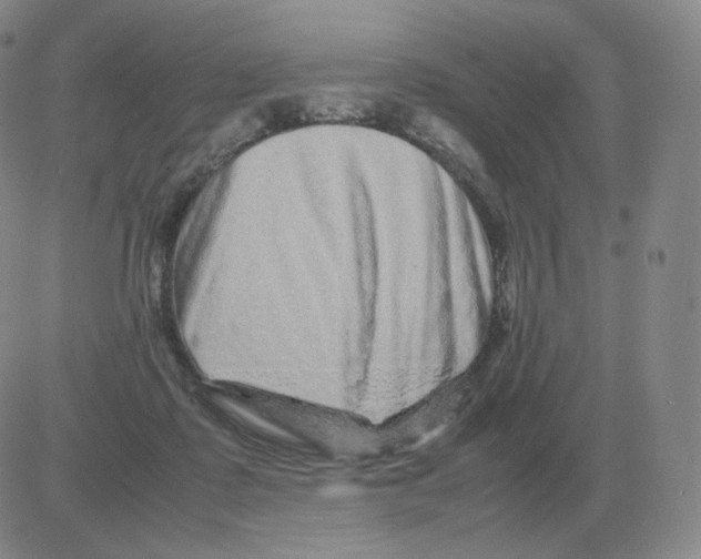 X0000082750315200702240045