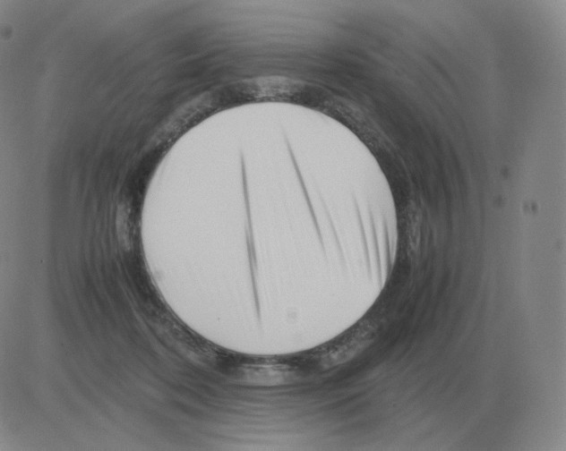 X0000082750316200702240045