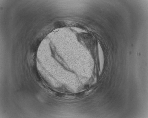 X0000082750319200702240045