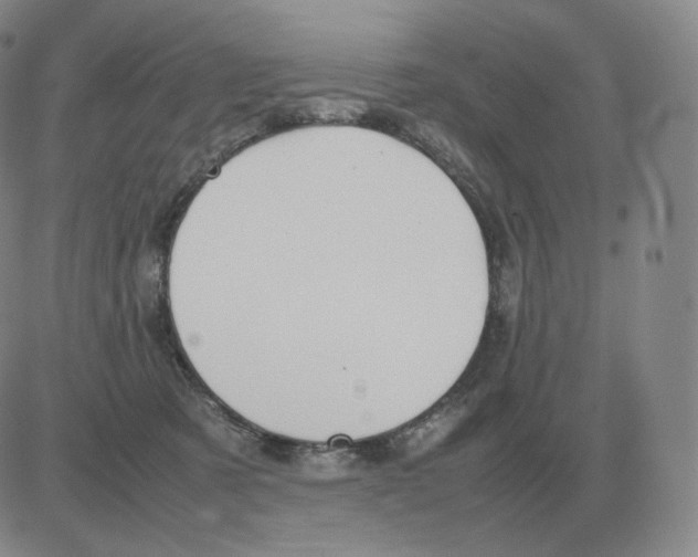 X0000082750321200702240045