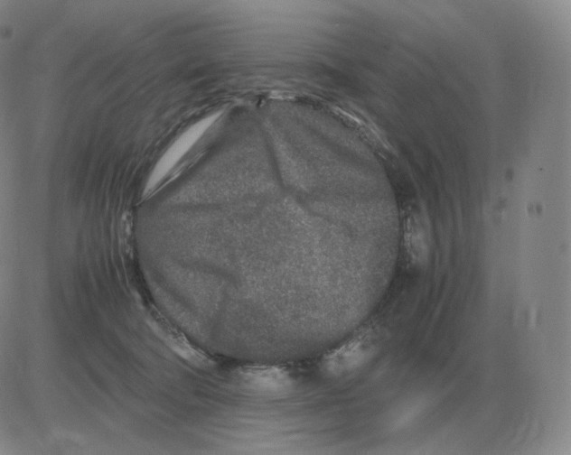 X0000082750322200702240045