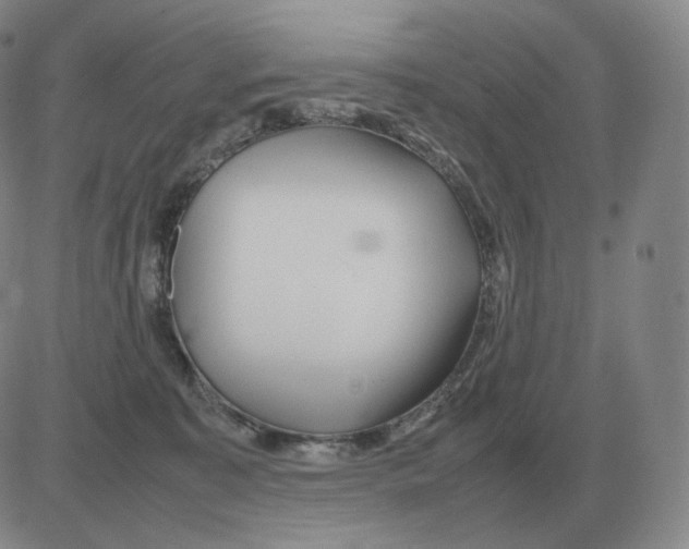 X0000082750323200702240045