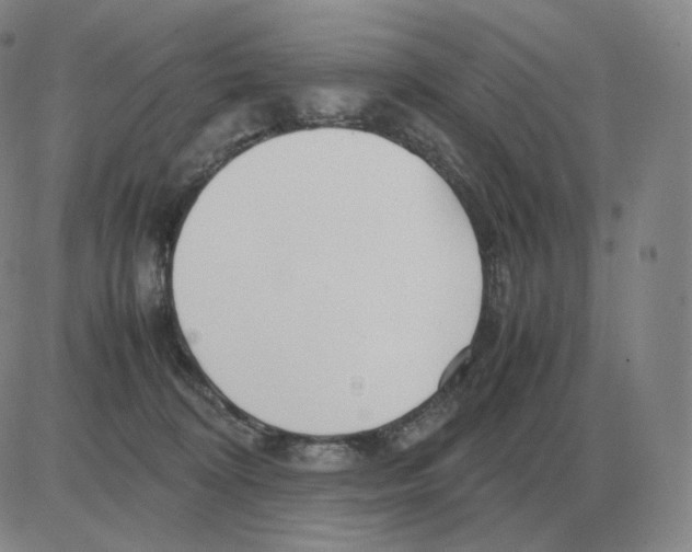 X0000082750324200702240045