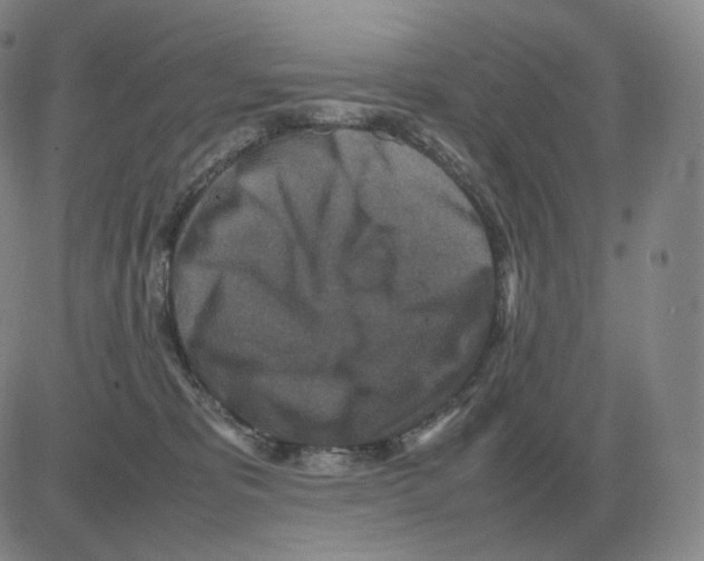 X0000082750325200702240045