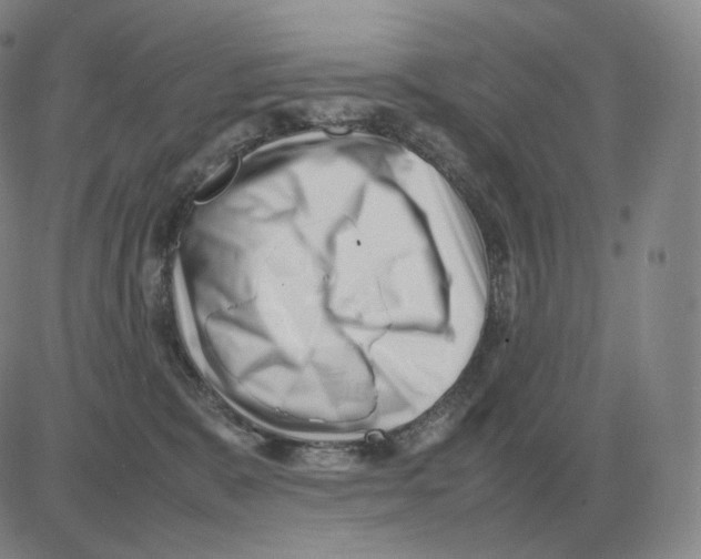 X0000082750327200702240045