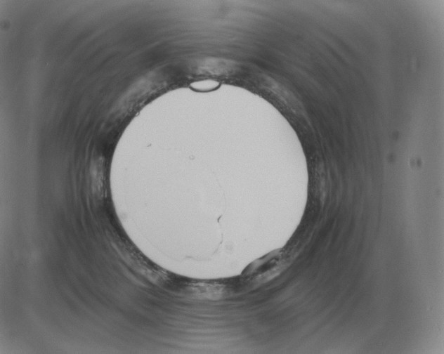 X0000082750328200702240045